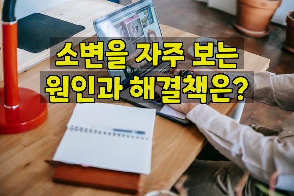 소변을 자주 보는 원인과 해결책은?